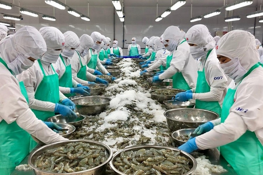 Seafood exports to EU enjoy upswing in first half